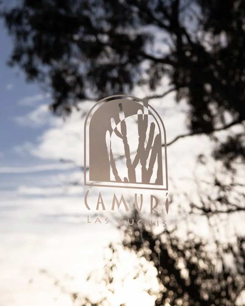 The Camurí Las Cuchis mark on glass, palms reflected